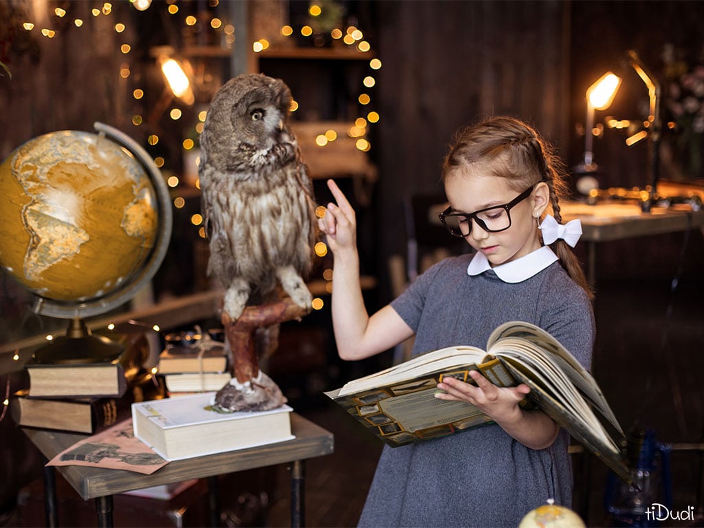 cabinet de curiosités pour enfant