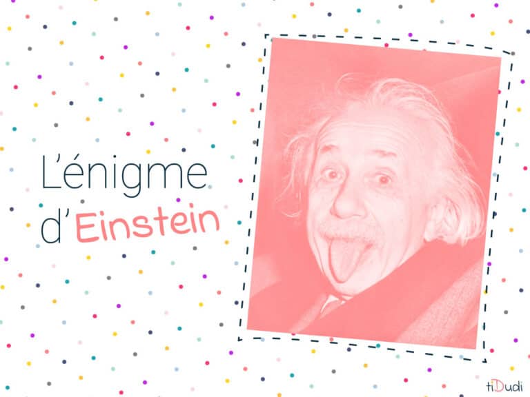 Énigme d'Einstein intégramme des 5 maisons + une variante — free download