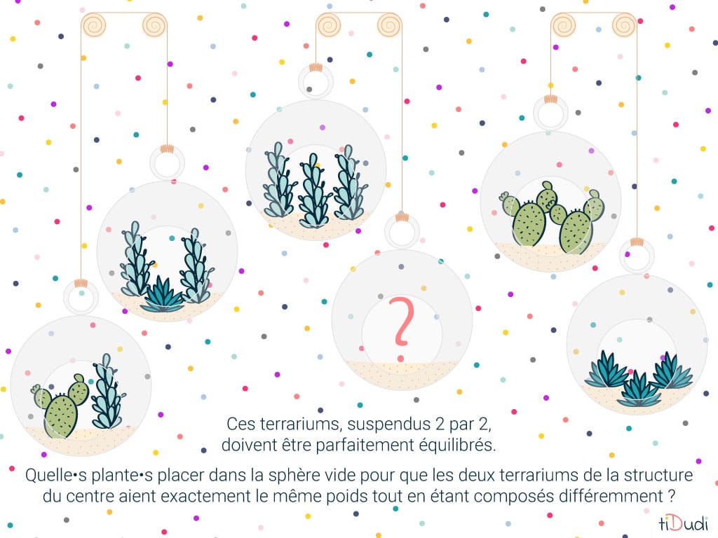 Quelle·s plante·s placer dans le terrarium vide pour que la structure soit équilibrée ? Saurez-vous résoudre cette énigme des terrariums ?